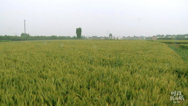 63756598866-20.jpg undefined